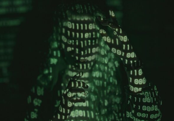 green and white lights | the data governor